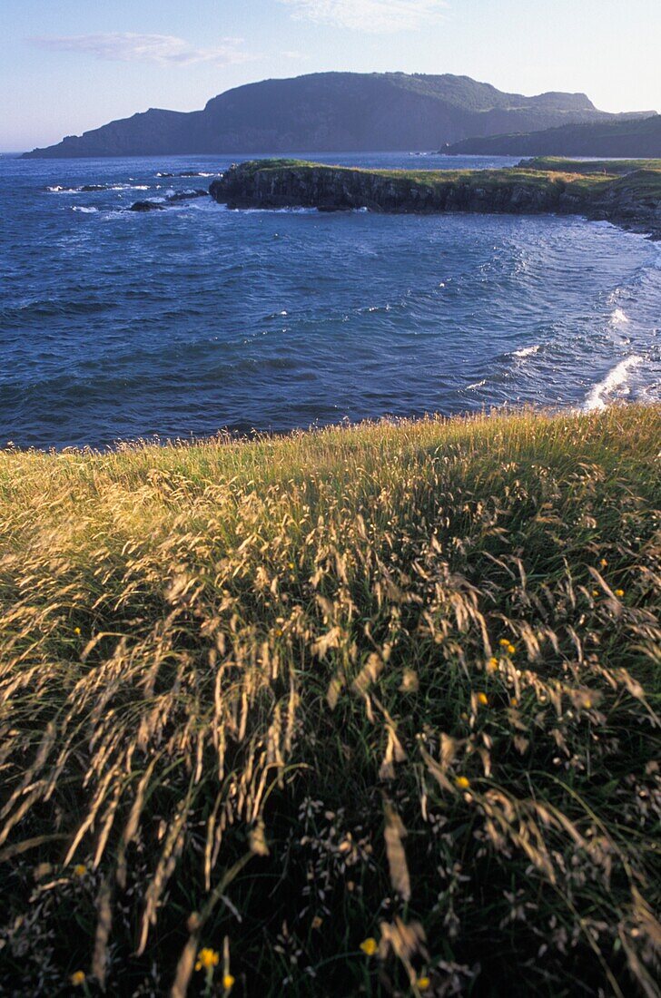 Trinity Bay, Champney's West, Neufundland, Kanada