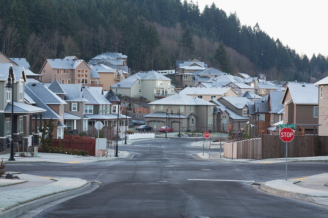 Residential Streets In Winter