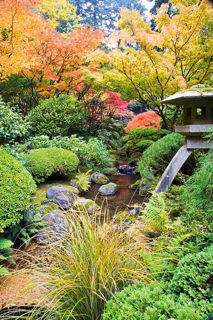 Portland, Oregon, Vereinigte Staaten Von Amerika; Portland Japanese Garden In Autumn