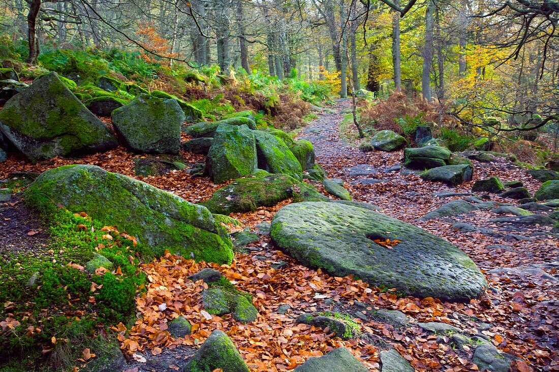 Ein verlassener Mühlstein entlang eines Pfades im Peak District National Park im Herbst; Derbyshire, England