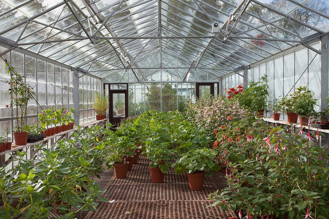 A Greenhouse Filled With Potted Plants