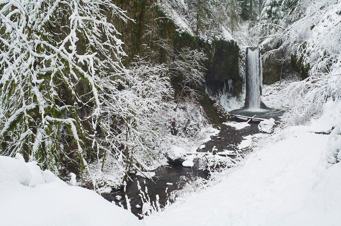 Weisendanger Falls In Winter, Columbia River Gorge, Oregon, Usa