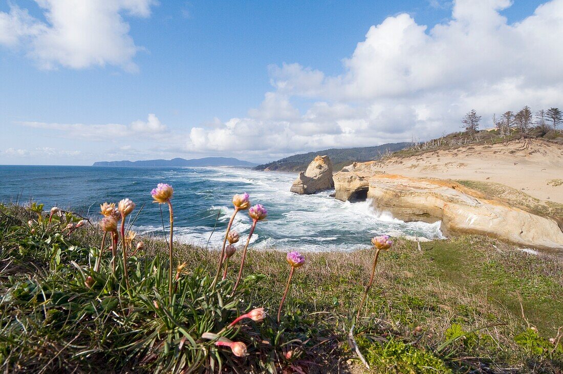 Strand am Kap Kiwanda, Pacific City, Oregon, USA