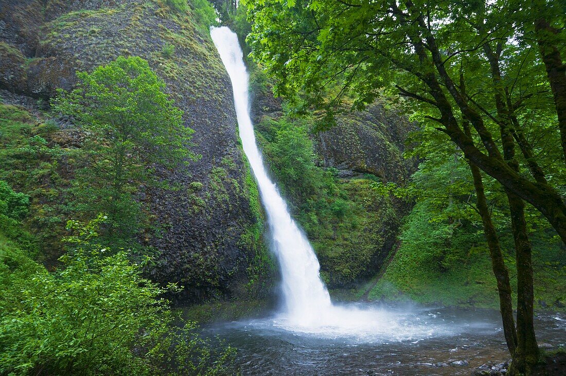 Horsetail Falls, Columbia River Gorge, Oregon, Usa