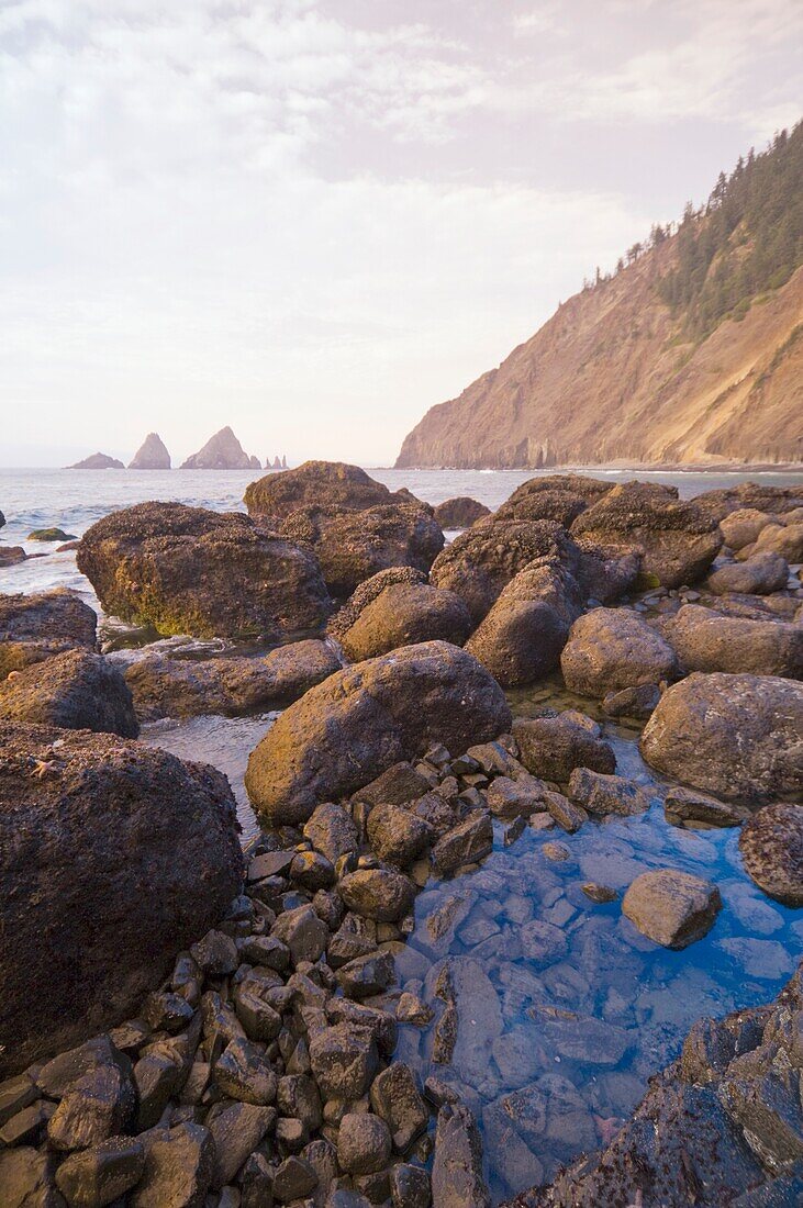Pacific Ocean, Tillamook Head, Oregon, Usa