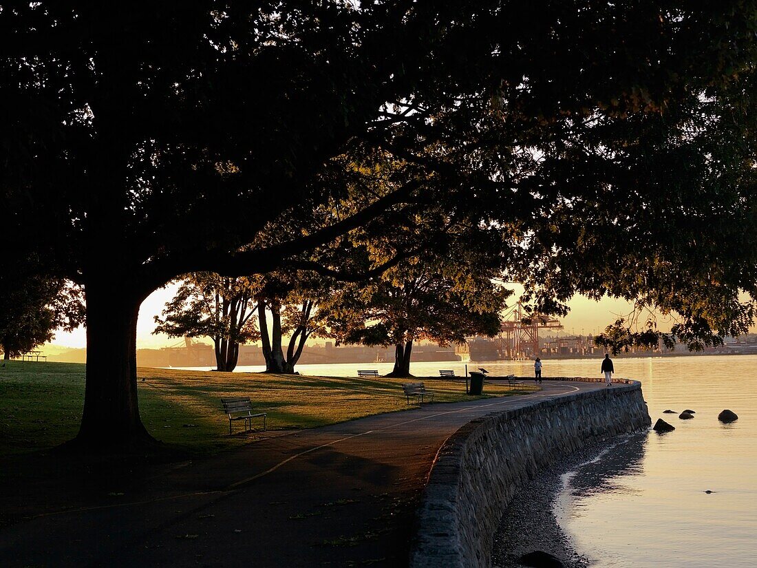 Stanley Park; Vancouver, Britisch-Kolumbien, Kanada