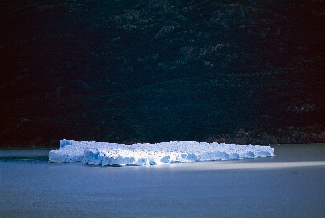 Eisberg auf dem Lago Grey Gletscher