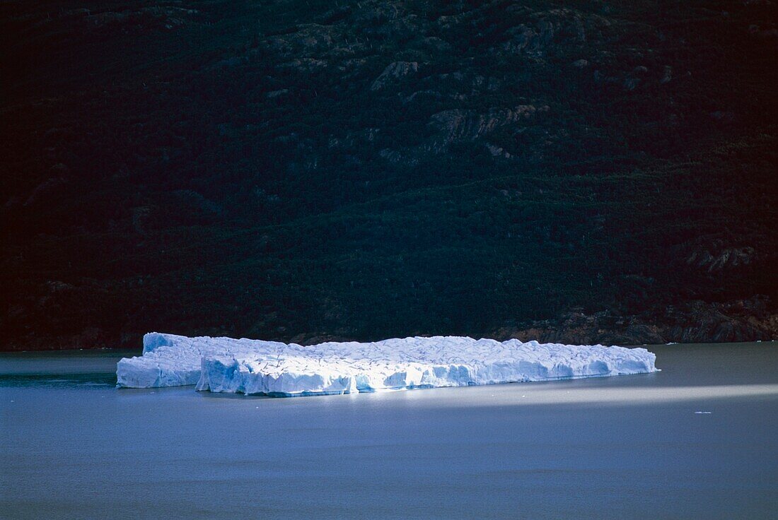 Iceberg On Lago Grey Glacier