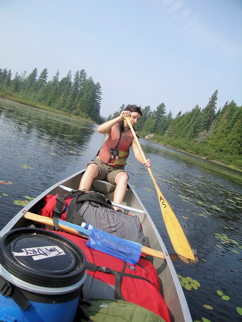 Woman Canoeing On A Boat In Algonquin National Park