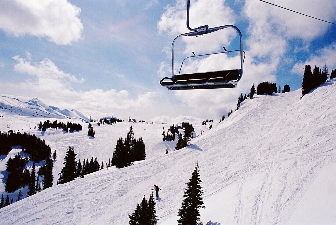 Chairlift Over Snow Covered Mountain With Pine Trees