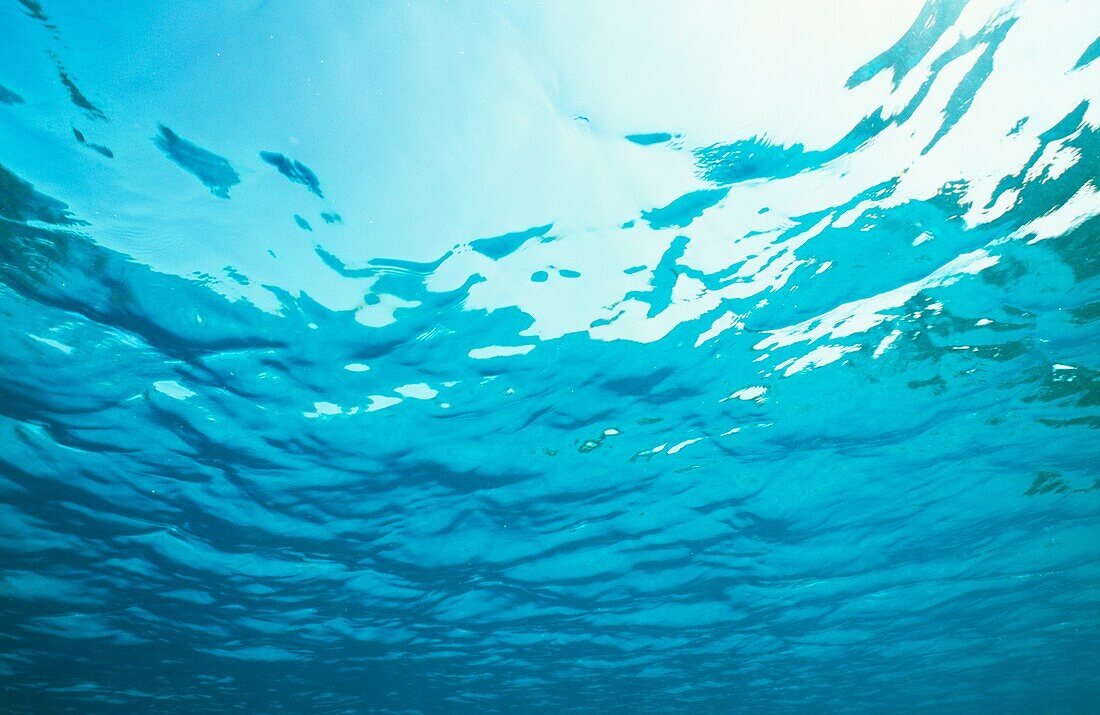 Underwater View Of Ocean, Close Up
