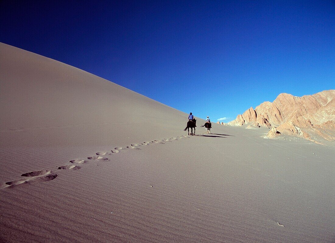 Horse Riders On Sand Dune In The Valle De La Muerte