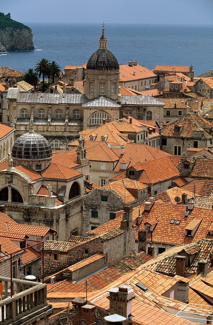 Taller Cathedral And St. Blaise Church