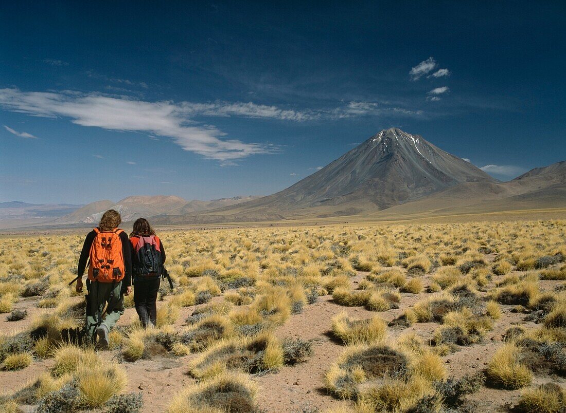 Walkers Looking Across Grasslands Towards Volcano In The Andes Near San Pedro De Atacama