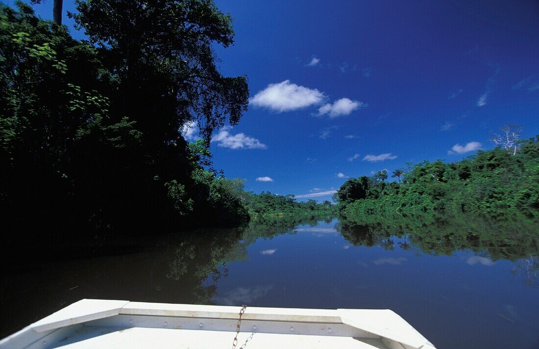 Boat On Rio Negro Tributary Of Amazon