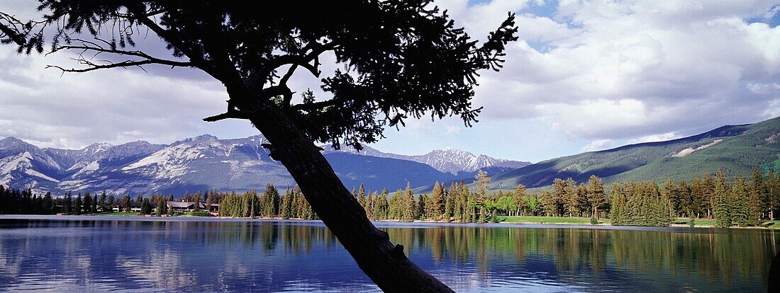 View Through Tree Of Mountains And Lake Beauvert