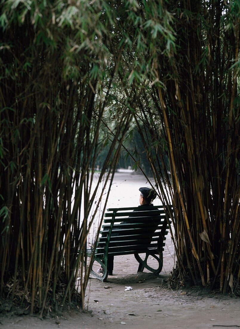Mann auf einer Bank im Bambuspark