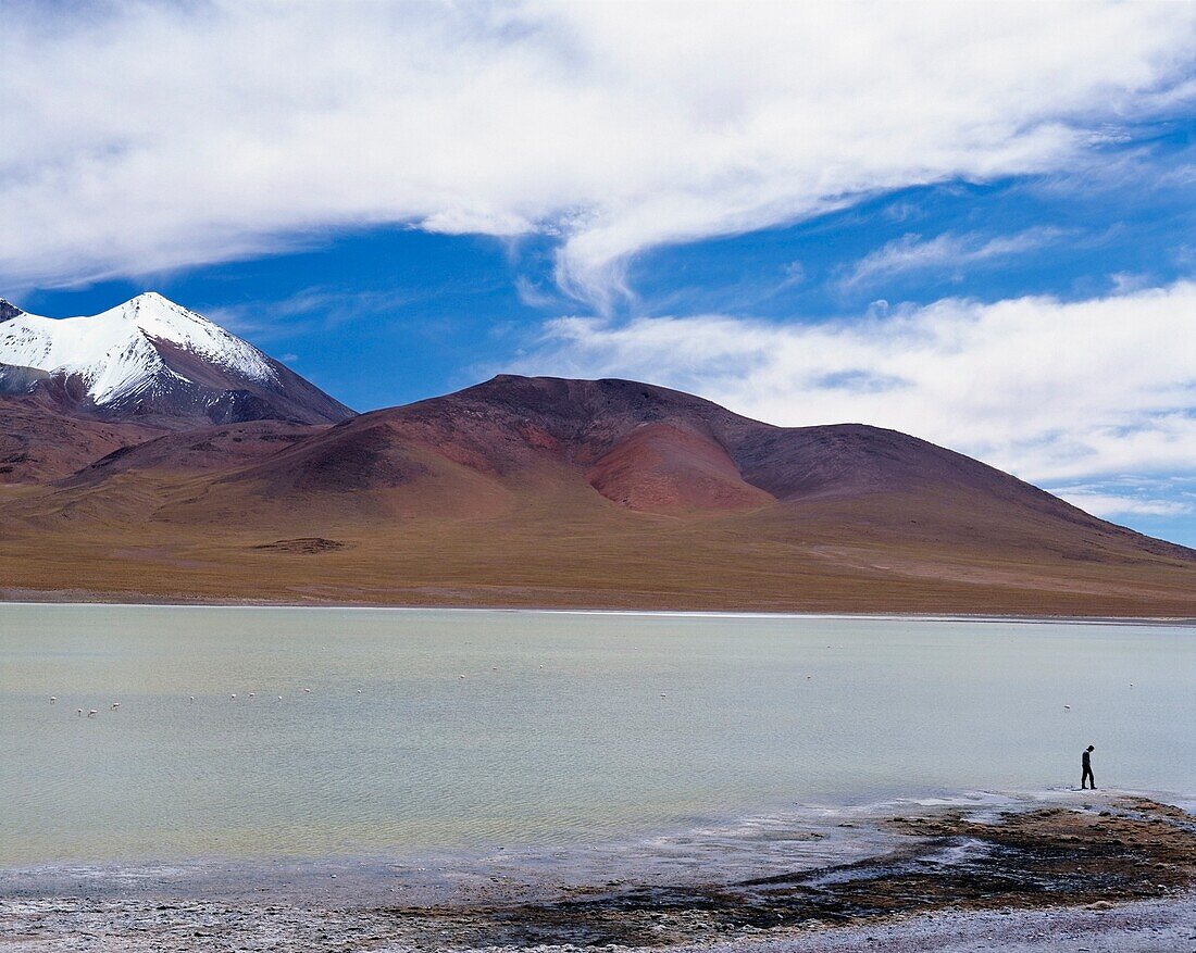 Lake In Altiplano