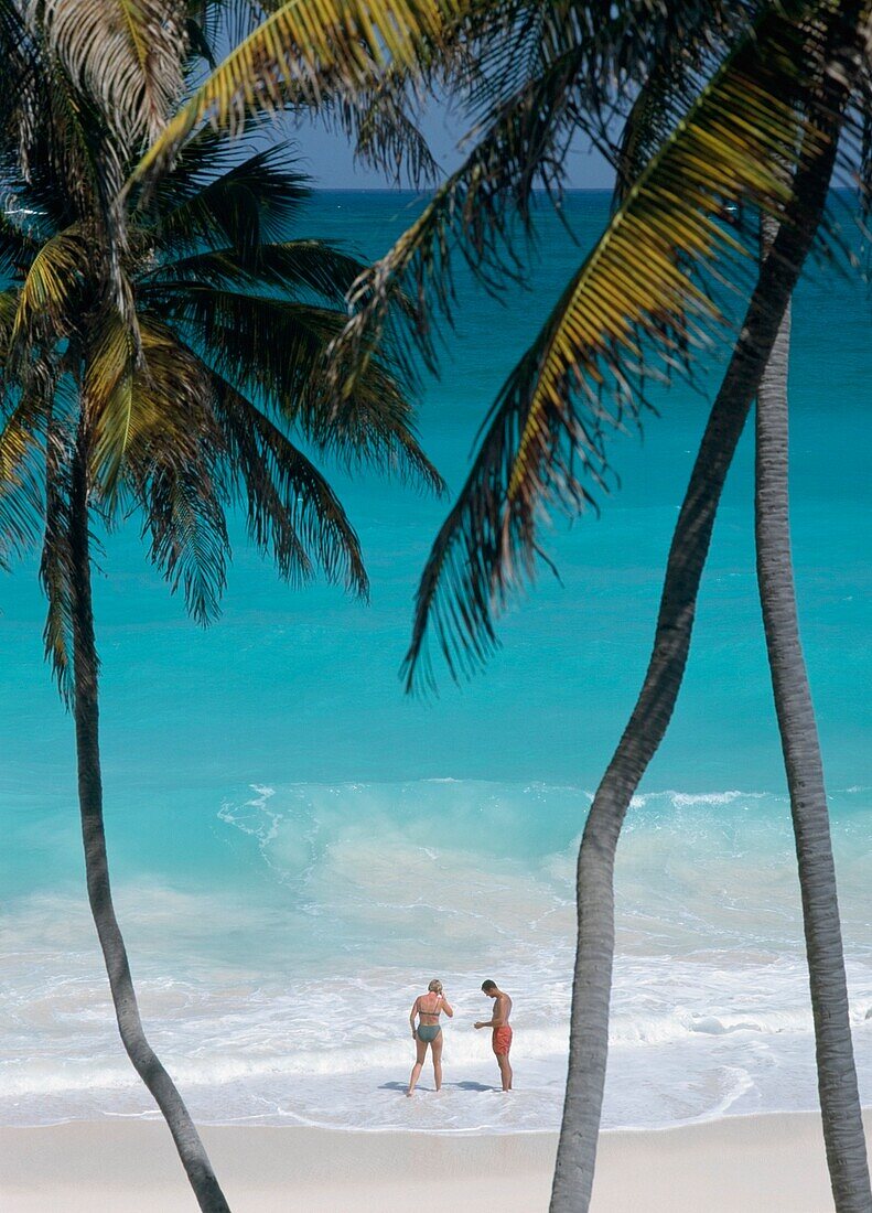 Blick durch Palmen auf ein Paar am Bottom Bay Beach