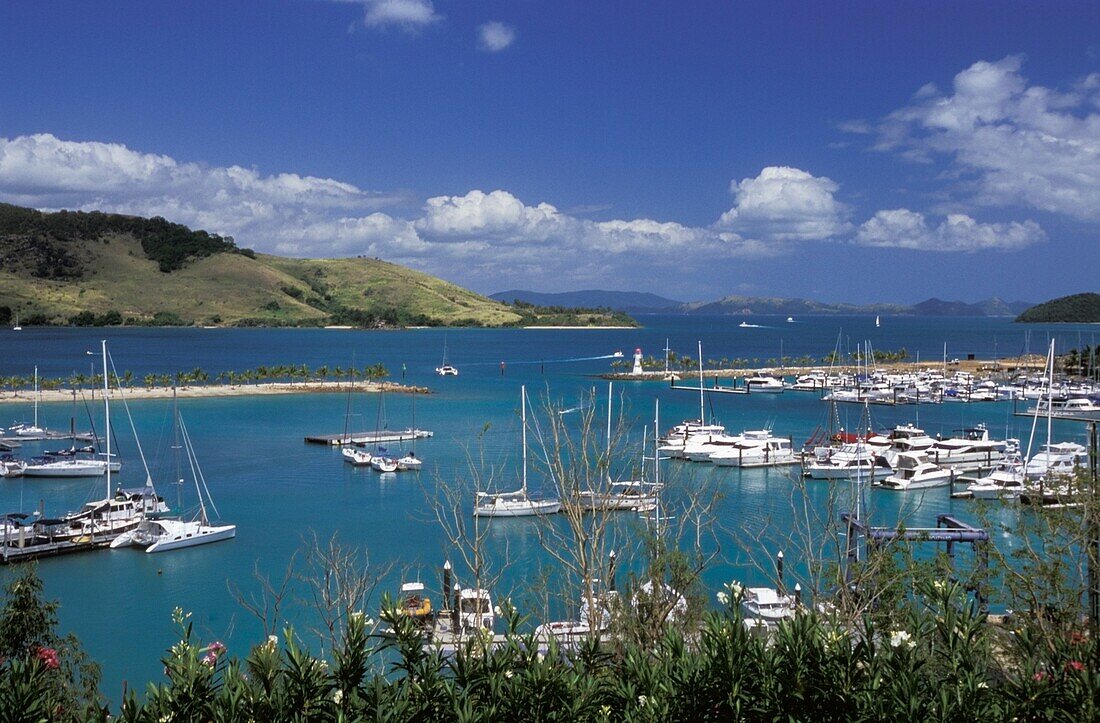 Hafen, Hamilton Island, hohe Winkelansicht