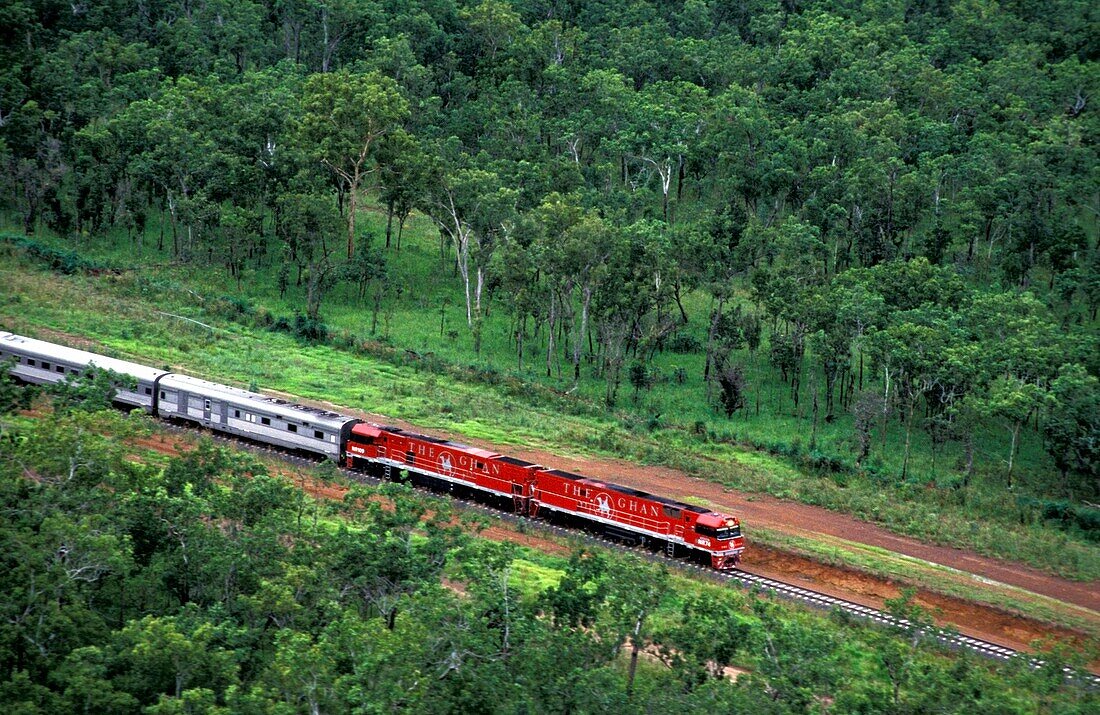 Der Ghan-Zug fährt durch den Wald