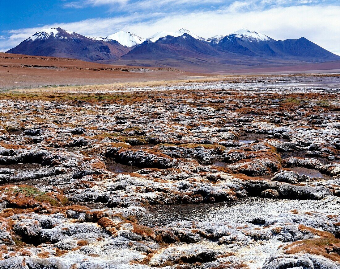 Landschaft im Altiplano