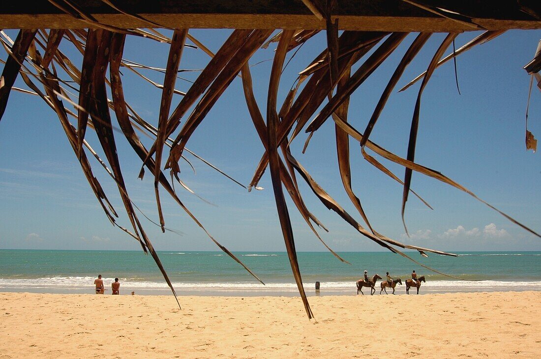 View Of Horseback Riders On Beach As Seen Through Grass Roofed Hut