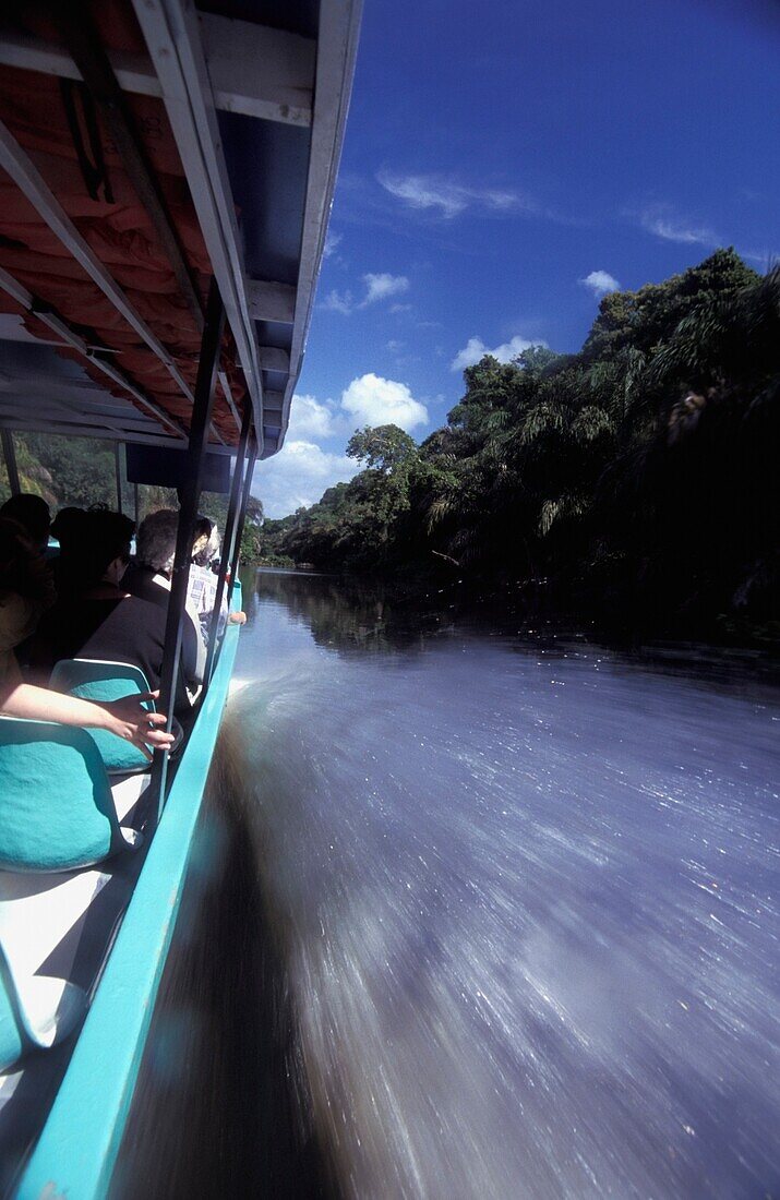 Touristen, die mit dem Schnellboot im Tortuguero-Nationalpark unterwegs sind