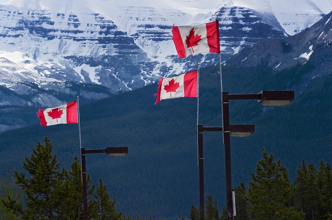 Kanadische Flaggen wehen im Wind.