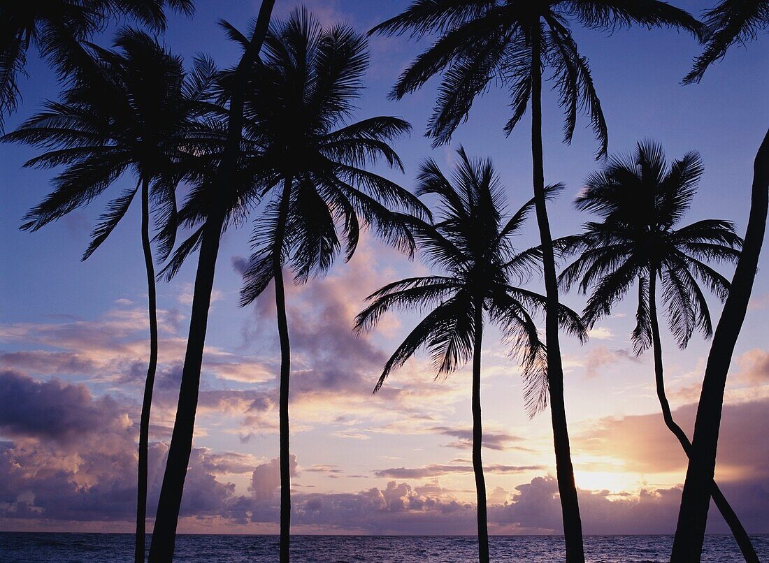 Dawn Over Bottom Bay Beach