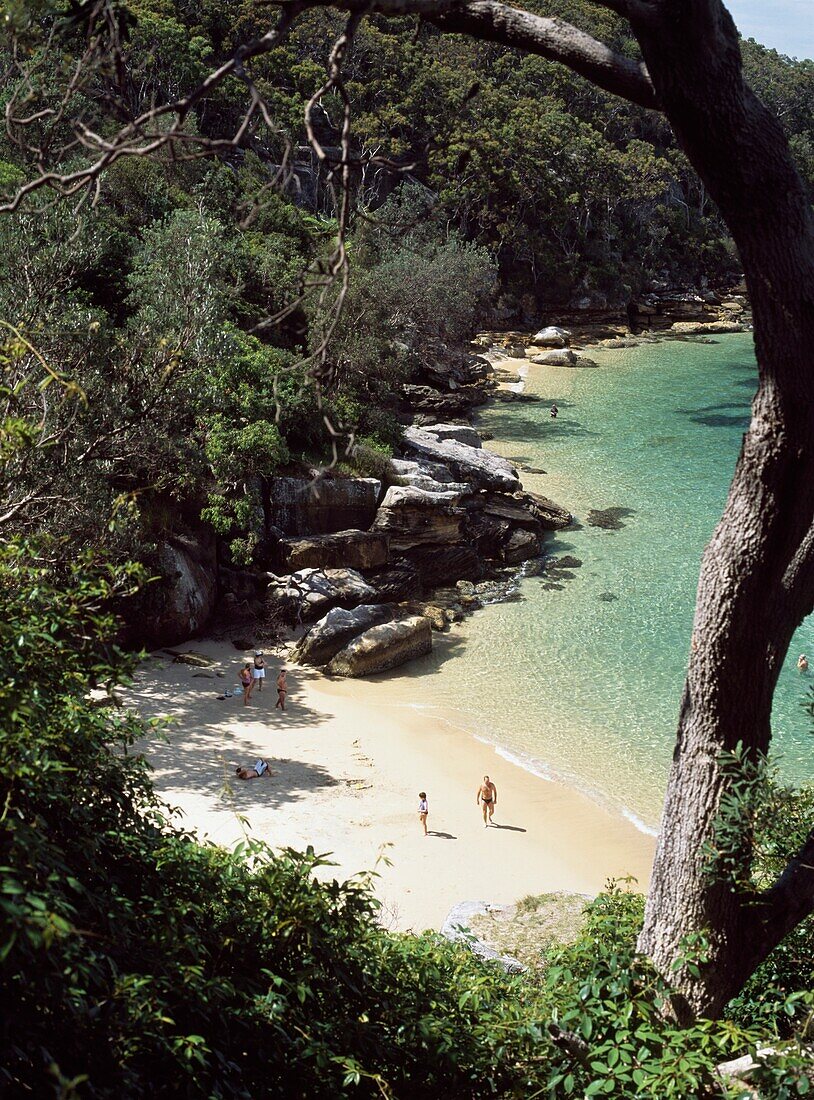 Blick durch den Wald auf Menschen an einem kleinen Strand