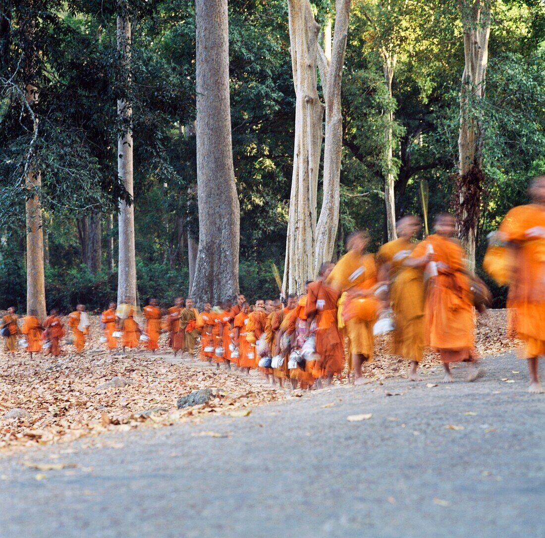 Buddhistische Mönche gehen in einer Reihe durch den Wald