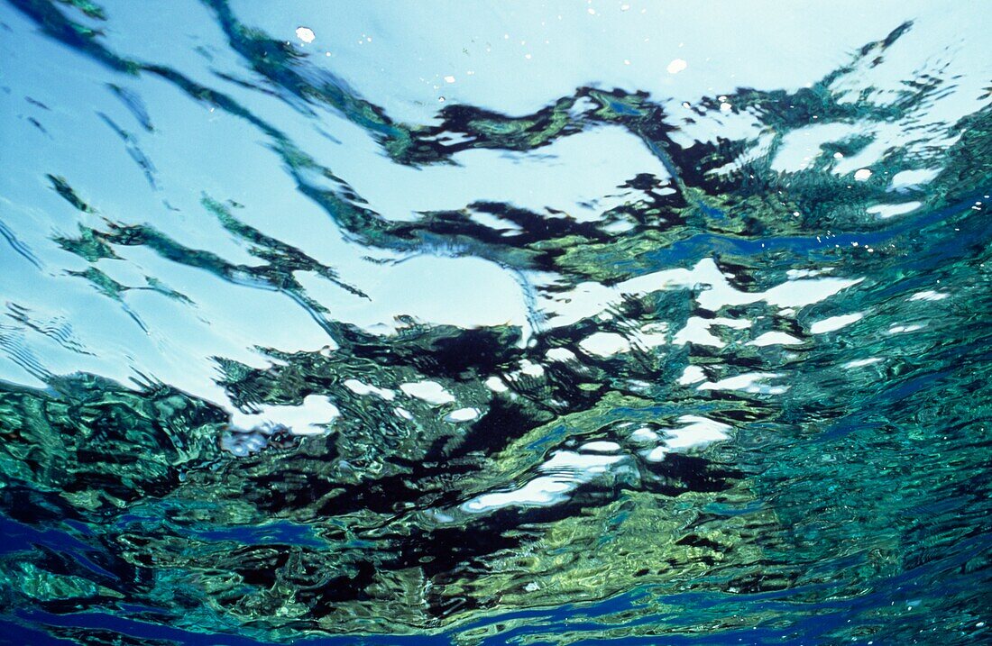 Wave Seen From Underwater, Close Up