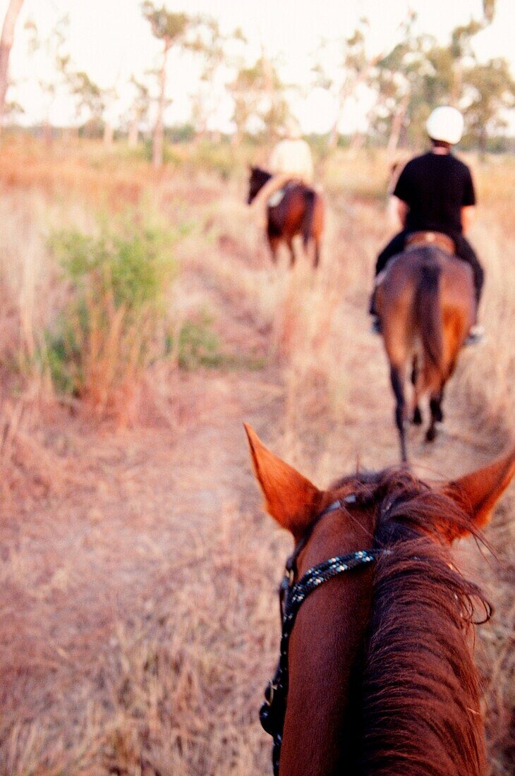 Horse Riding