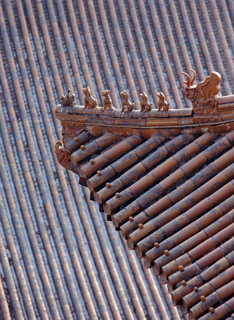 Figures On The Roof Of The Summer Palace