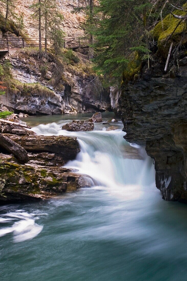 Lower Falls Of Johnston Creek.