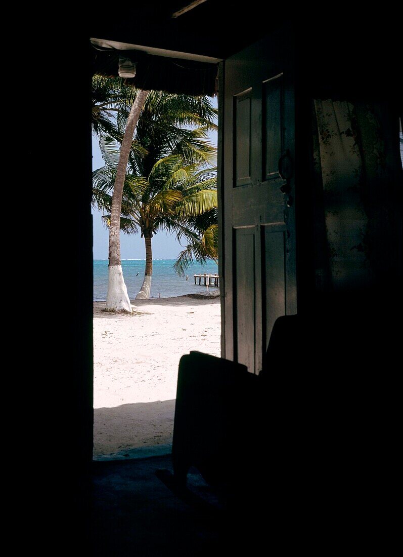 Blick aus einer Türöffnung auf eine Palme am Strand