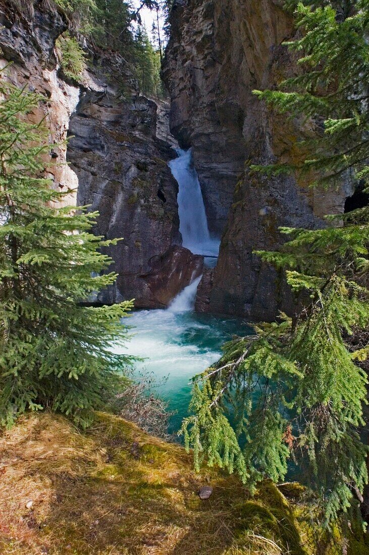 Lower Falls Of Johnston Creek, Canada.