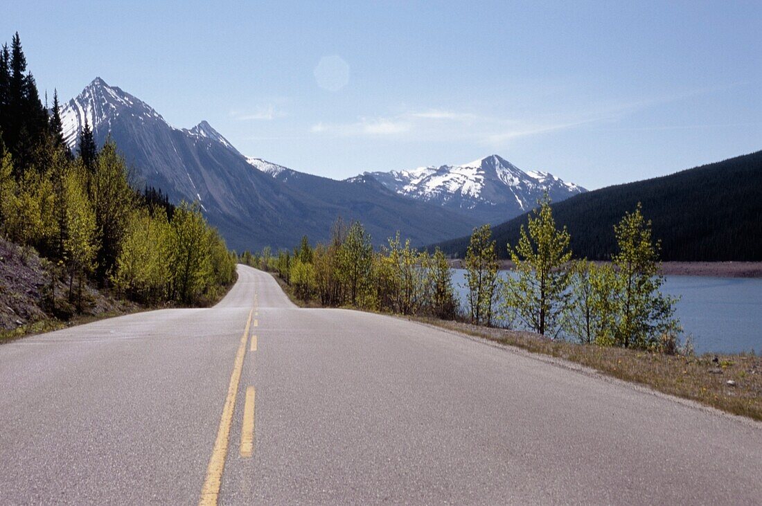 Road By Medicine Lake, Near Jasper