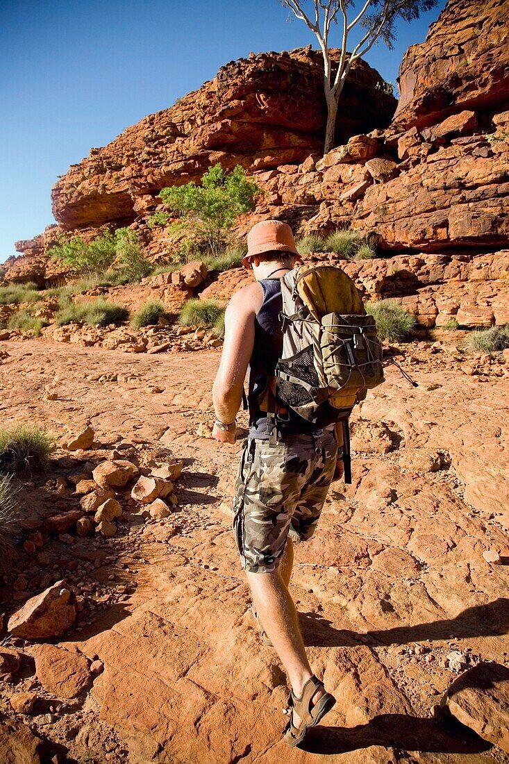 Young Male Backpacker Hiking Through Kings Canyon
