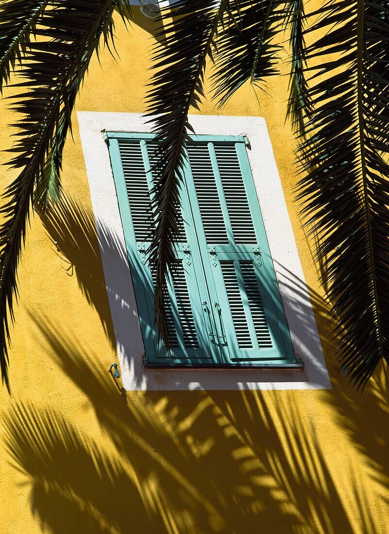 Fenster mit geschlossenen Fensterläden hinter Palmblatt, Nahaufnahme