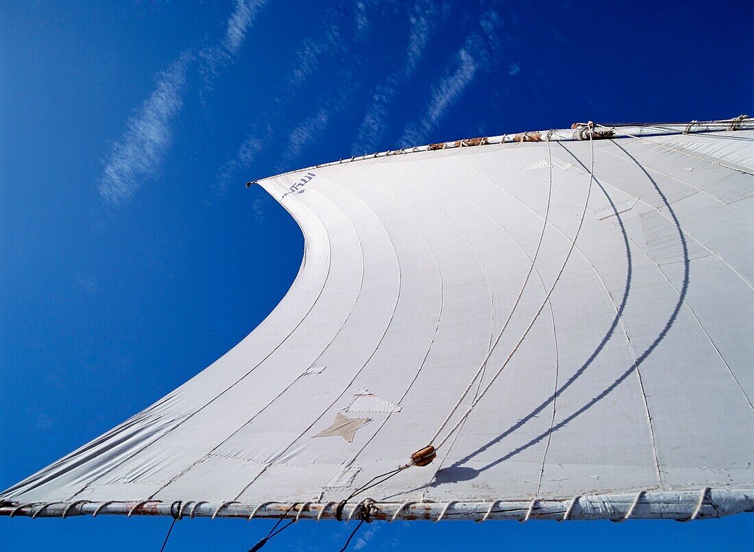 Felucca Sail, Close Up