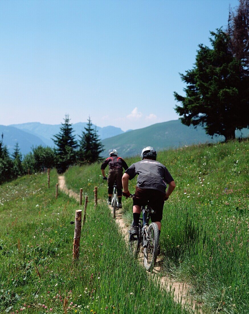 Men Cycling Along Path In The Alps