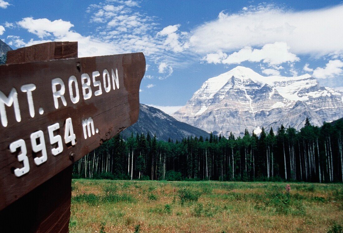 Mount Robson Mountains And Field