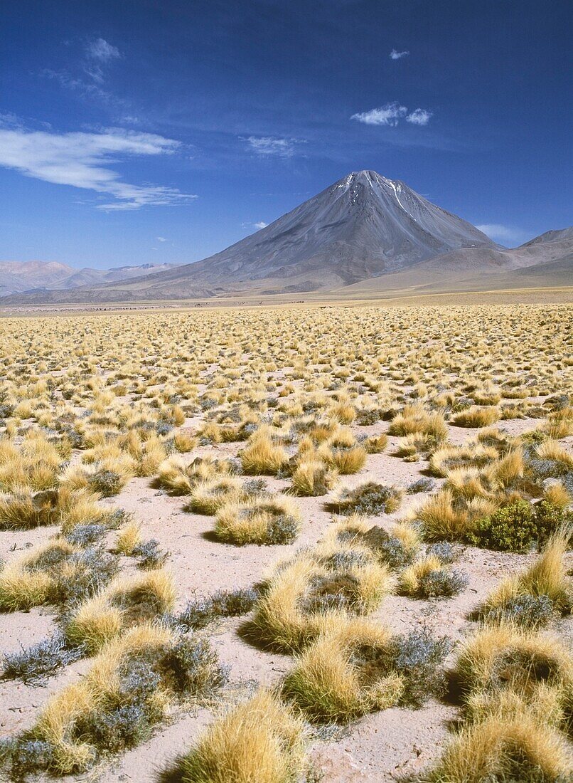Grasland in Richtung eines Vulkans in den Anden