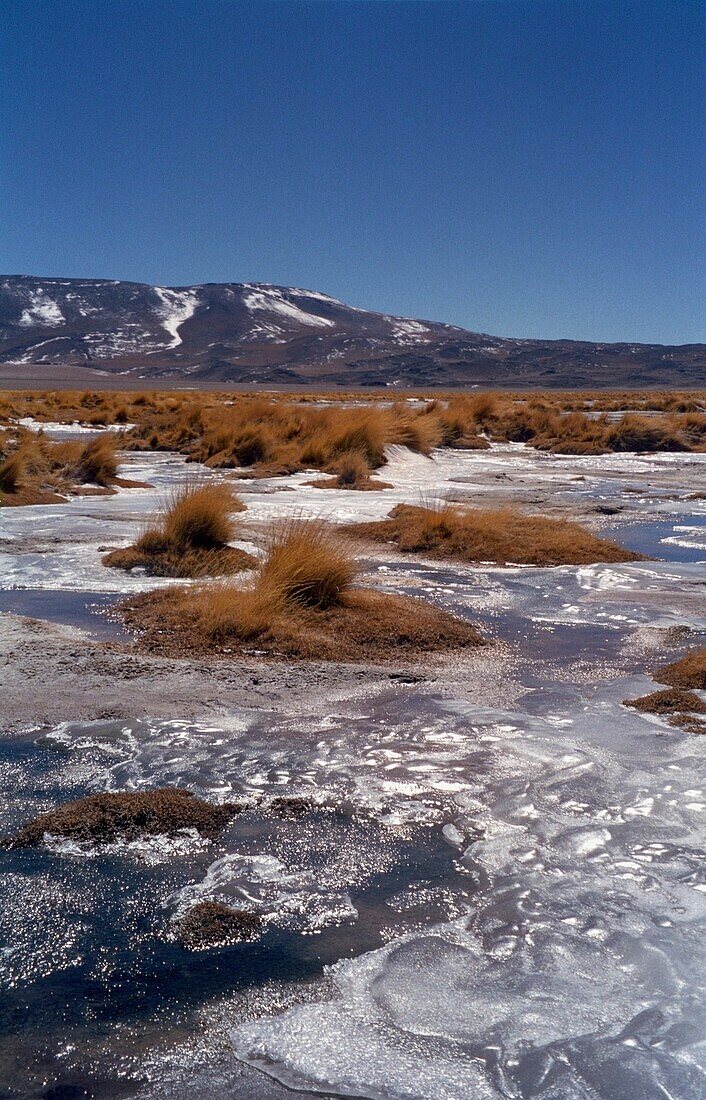 Halbgefrorener See im Altiplano bei San Pedro De Atacama