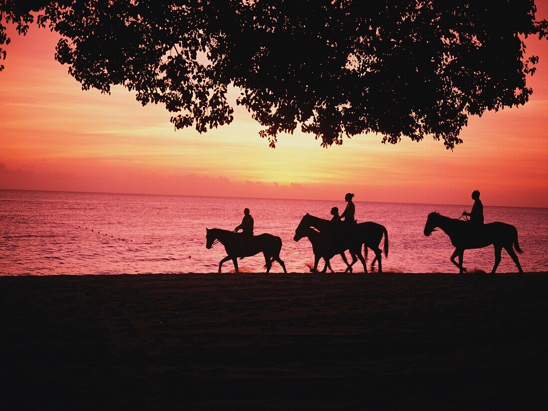 Reiten auf Pferden am Strand bei Sonnenuntergang