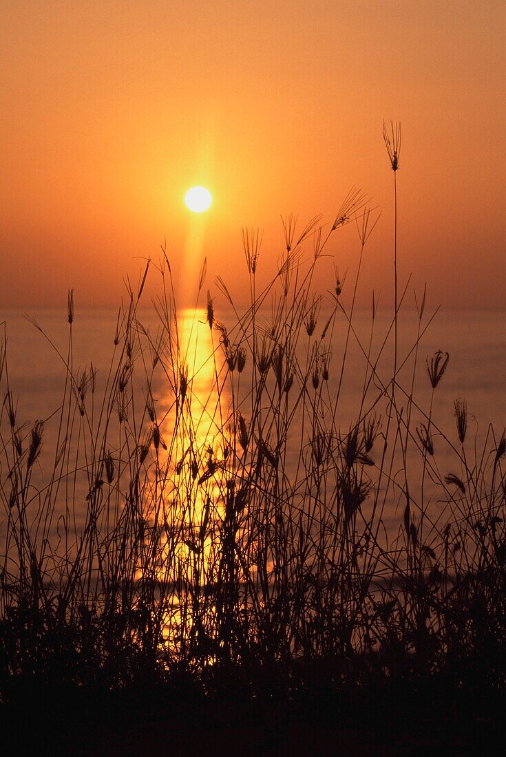 Sonnenuntergang über dem Pazifik