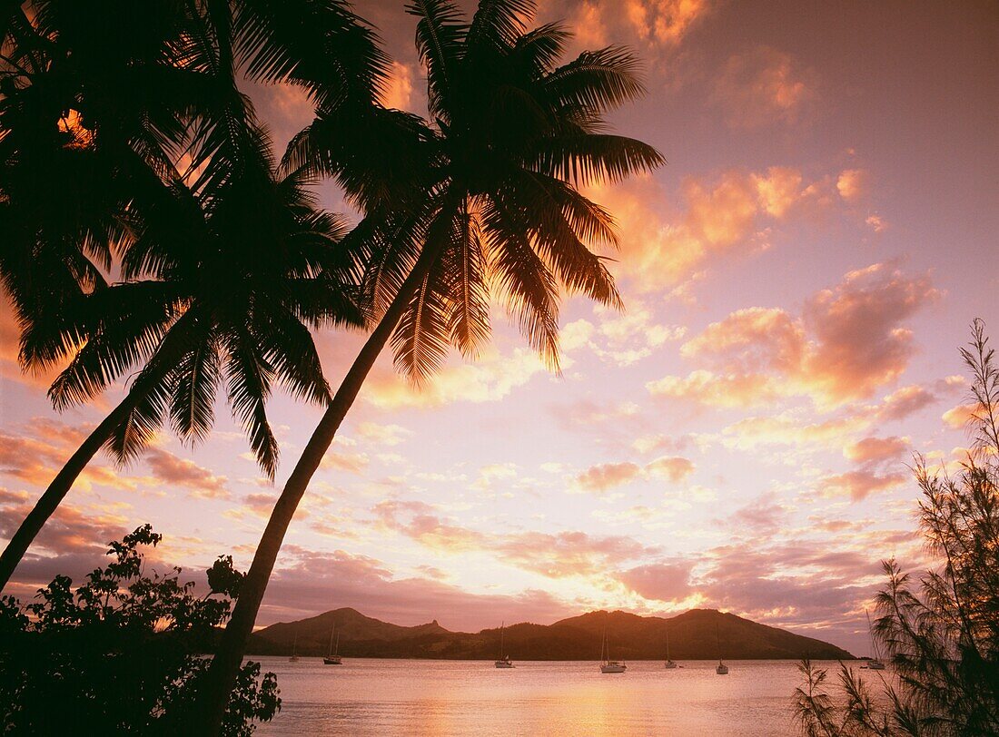 Palmen am tropischen Strand bei Sonnenuntergang, Nanuya Lai Lai