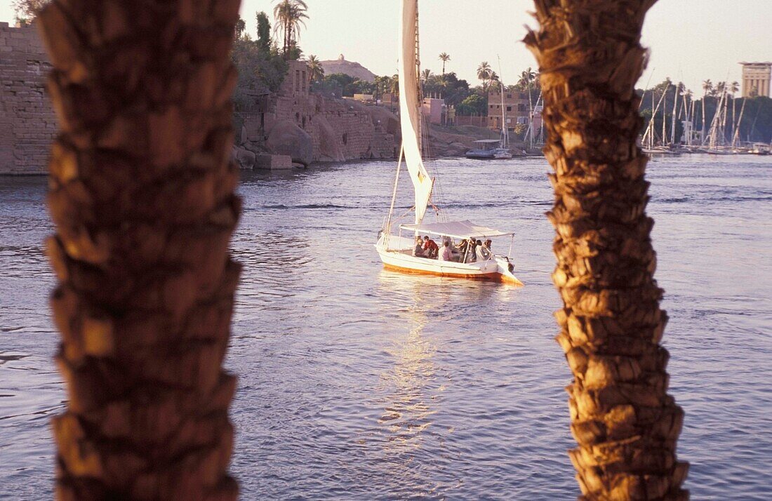 Blick durch Bäume auf Felucca und Elephantine Island